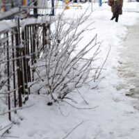 woman walking on snow during winter