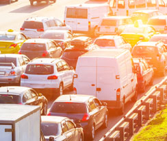Agencies Unite to Eliminate Traffic Deaths
