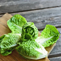 Philadelphia Personal Injury Lawyers warn consumers about about a dangerous outbreak of E. coli traced back to romaine lettuce. 