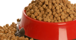 Philadelphia products liability lawyers discuss consumer alert: major dog food recall.