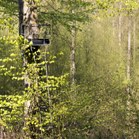 Philadelphia Product Liability Lawyers weigh in on dangerous and defective tree stands. 